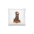 Uno the Cat Halloween throw pillow with a gray cat, orange pentagram, stars, paw print, and “The Hex Made Me Do It” slogan on a white background.