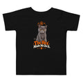 Black toddler Halloween cat T-shirt featuring Uno the gray cat, orange spooky star artwork, and “The Hex Made Me Do It” slogan on the front.
